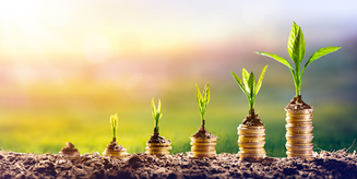 Impact Investor Group