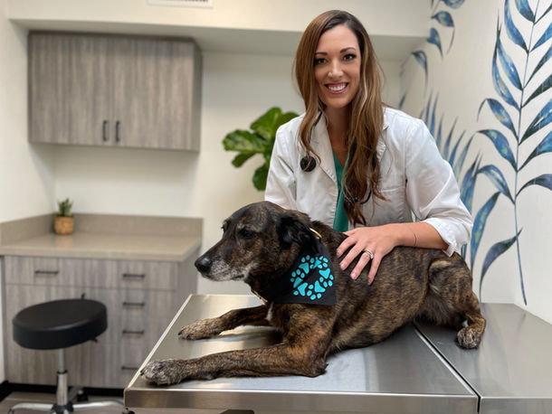 Urgent Vet Care SB front desk