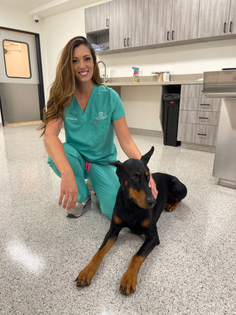 Urgent Vet Care SB (4).jpeg