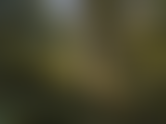 BwB Partners with Terraformation Inc.