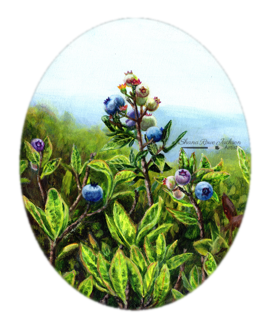 Thumbnail: Wild Maine Blueberries