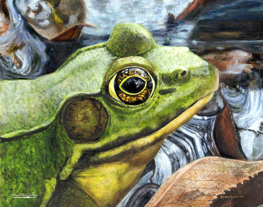 Prince of the Pond