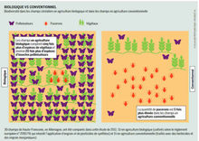 Pesticides : un « Atlas » mondial expose le désastre