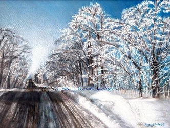 A snowy country road surrounded by snow covered trees on a cold, blue, winter day in Maine. 