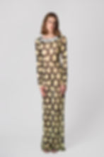 Rose Mesh Dress Front View