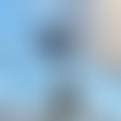 Edelaysen realiza faenas en la red eléctrica del sector Pangal Bajo de Puerto Aysén