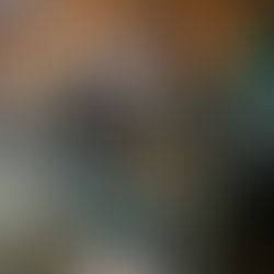 Cuatro detenidos deja operativos de carabineros en V. Ortega y P. Aysén