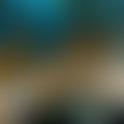 CIEP Y AUTORIDADES ANALIZAN ESTADO DE PESQUERÍAS BENTÓNICAS Y PRESENCIA DE ANÉMONA INVASORA