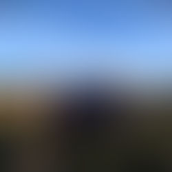 Autoridades visitan terreno fiscal donde se proyecta la construcción del primer Centro de Tratamiento Psiquiátrico Infanto Juvenil de la región