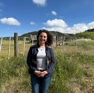 CHILE CUIDA ES LEY: SEREMI MIDESO DESTACA LOS AVANCES EN AYSÉN Y DETALLA ALCANCES DE LA NORMA