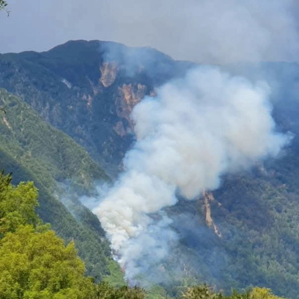 INCENDIO FORESTAL AFECTA A SECTOR LAGO ROSSELOT