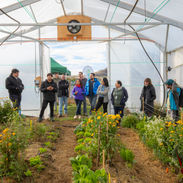 Proyecto impulsa invernaderos para fortalecer el cultivo de hortalizas