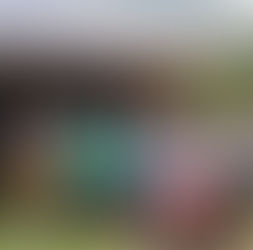 COCHRANE FINALIZA NAVIDADES RURALES JUNTO A JUNTAS DE VECINOS Y CONVOCA A CIERRE COMUNAL