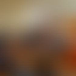 JUZGADO DE GARANTÍA DE COYHAIQUE DECRETA ARRAIGO DE EXALCALDE Y EXCONCEJALES IMPUTADOS POR FRAUDE AL FISCO