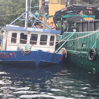 Procedimiento por Accidente Marítimo en canal Ninualac