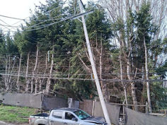 Balance 2025 de Edelaysen: choques a postes siguen afectando la red eléctrica de Aysén