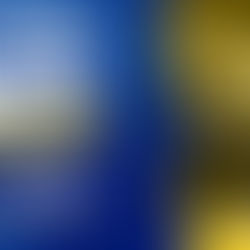 PROCESO EXTRAORDINARIO: POSTULA PARA SER DETECTIVE DE LA POLICÍA DE INVESTIGACIONES DE CHILE