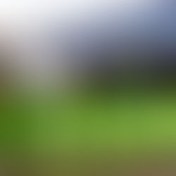 Dos esperadas obras comienzan en Puerto Aysén: entregan terrenos para proyectos en Villa España y Ribera Sur