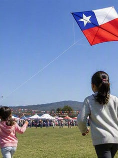 POSITIVO BALANCE REGIONAL EN AYSÉN POST FIESTAS PATRIAS