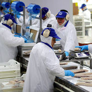 Para el cuarto trimestre del año 2024, la tasa de desocupación en la Región de Aysén fue 3,5%