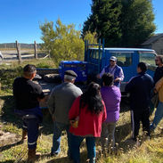 "Aysenita": resistencia, belleza y desarrollo productivo desde el corazón del Pollux