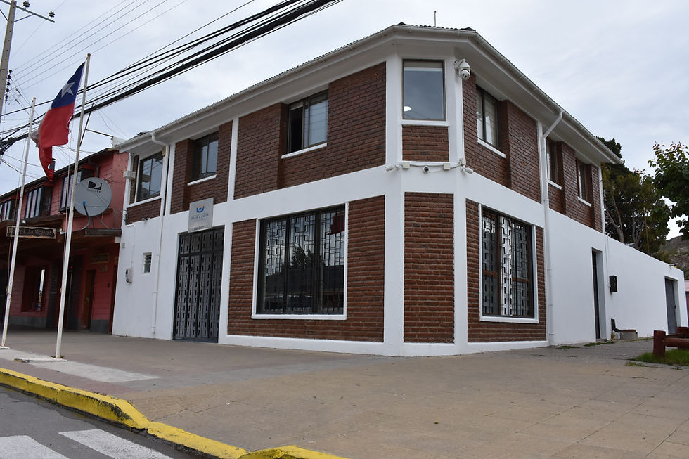 Chile Chico: Diligencias de Carabineros y Fiscalía permiten detención de imputado por cultivo y microtráfico de marihuana