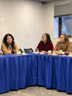 CChC y seremi de la Mujer reactivan mesa “Mujer y Construcción”