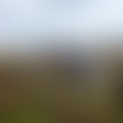 Estaciones meteorológicas del INIA buscan apoyar y mejorar la planificación agrícola en Aysén.