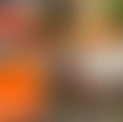 Puerto Aysén: Operativo conjunto entre Carabineros del GOPE, Bomberos y familiares permitió rescatar a adulto mayor de 95 años tras denuncia por presunta desgracia