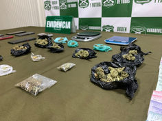 Trabajo coordinado entre autoridades y Carabineros permite importantes decomisos de drogas en la Región de Aysén