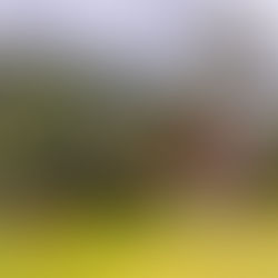 Cuando creer es crear: el emprendimiento femenino que transforma el turismo en Aysén