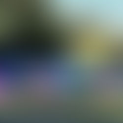 Gobierno Regional de Aysén fortalece la seguridad ciudadana con la adquisición de 13 vehículos especializados