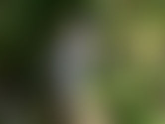 Salud reitera medidas de autocuidado frente a confirmación de nuevo caso por Hantavirus