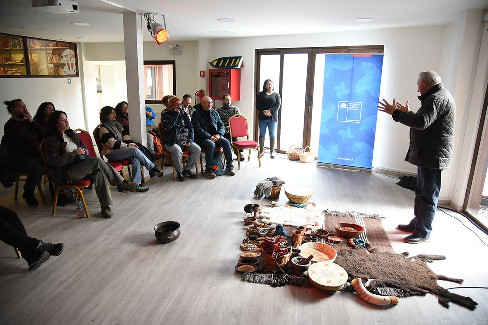 Con invitados internacionales, Red Cultura reúne a 24 agentes culturales en Coyhaique