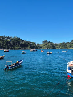Sernapesca llama a pescadores y pescadoras a revisar su situación en el registro pesquero artesanal para evitar caducidad