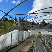 INDAP Y MINISTERIO DE AGRICULTURA APOYAN A PRODUCTORA AFECTADA POR FUERTES VIENTOS EN COYHAIQUE