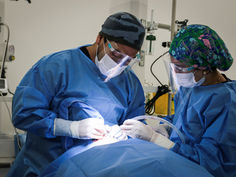 Hospital de Chile Chico fortalece atención en implantología y reduce lista de espera