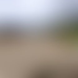 SE INICIÓ PAVIMENTACIÓN DE LA FAJA SUR DE AVENIDA DIVISADERO ORIENTE DE COYHAIQUE