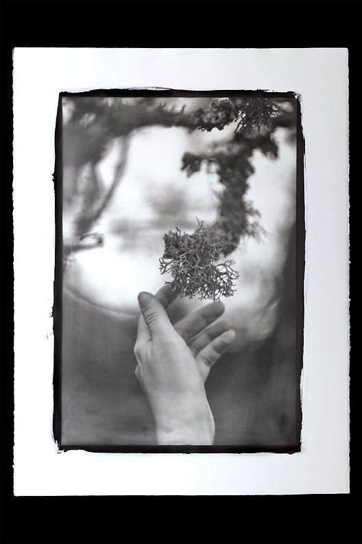 Limbo _ 연옥 (TJL0020GAL003) Galicia, 2020, Platinum Palladium on Arches Platine, 60 x 40 cm