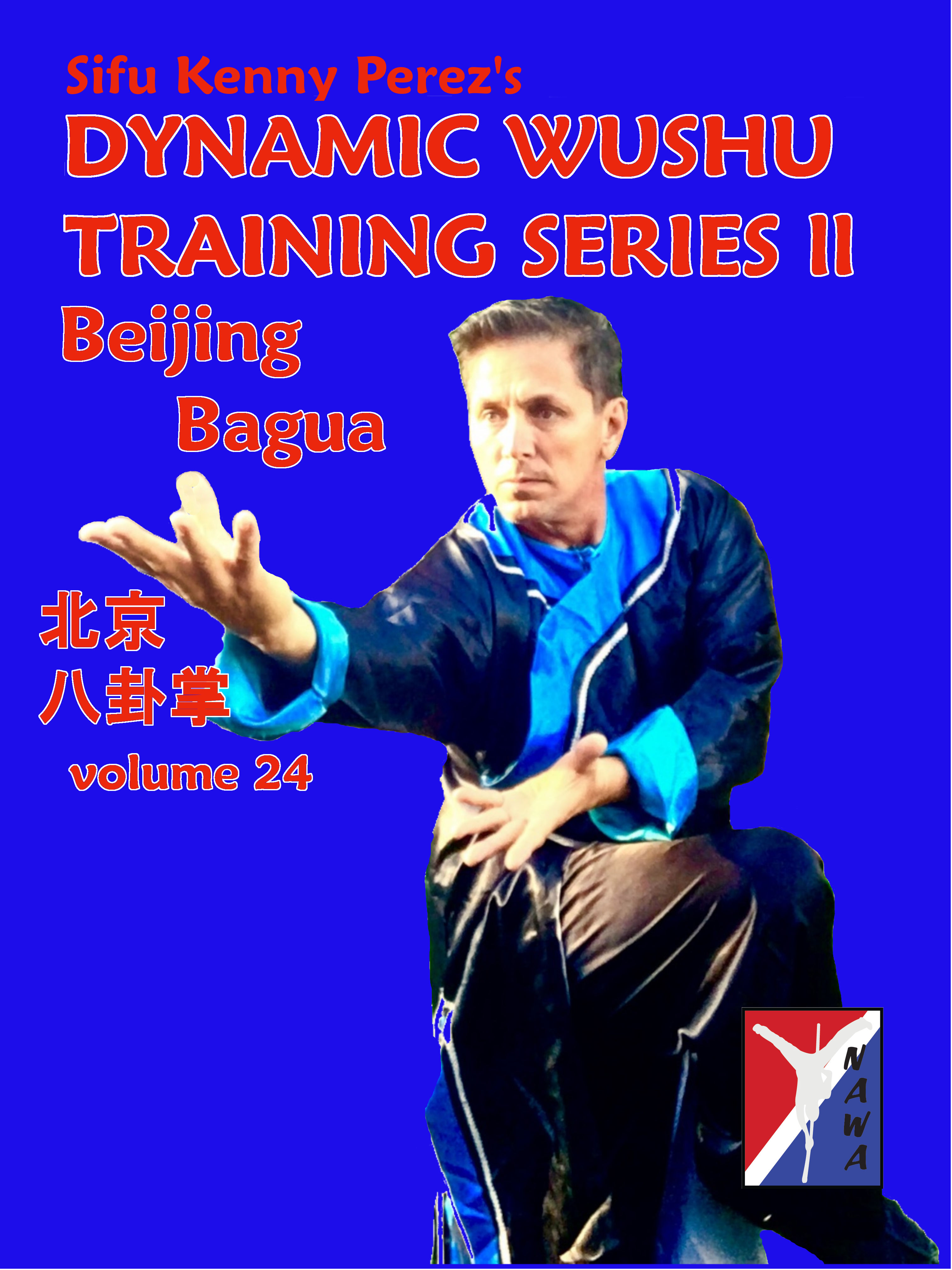 Beijing Bagua Routine