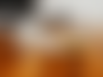 Two Sides of a Coin: Living in America as a European.