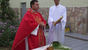Seminário inicia sua Semana Santa com Domingo de Ramos