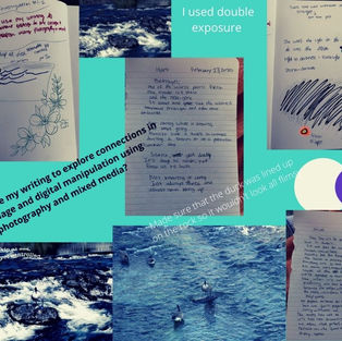 Sustained Investigation #1 Process Collage