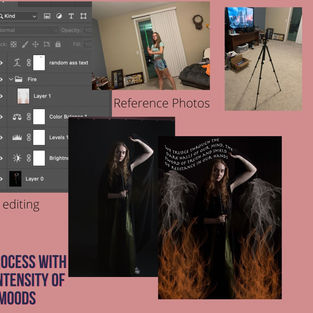 Sustained Investigation #2 Process Collage