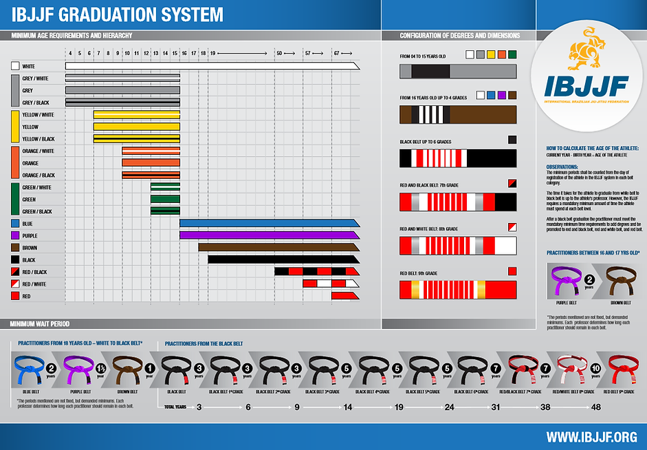 ibjjf-adult-graduation-system.png