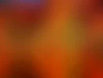 What's Happening at WCWMR