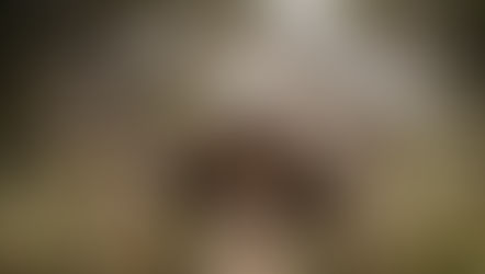 Outside view of wedding glass chapel