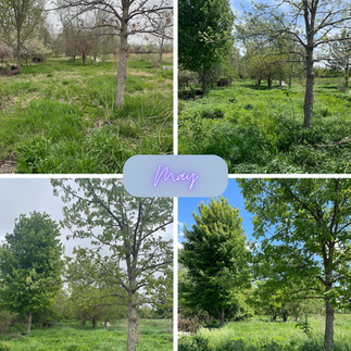 changing landscape in May at Willow Creek entrance