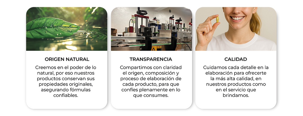 CALIDAD_WEB.png