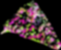 Screenshot 2023-09-30 160934.png
